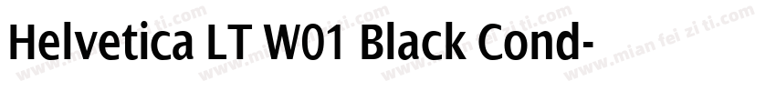 Helvetica LT W01 Black Cond字体转换